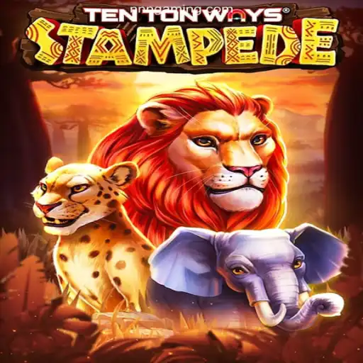 Thrilling Adventure Awaits with TenTonWaysStampede
